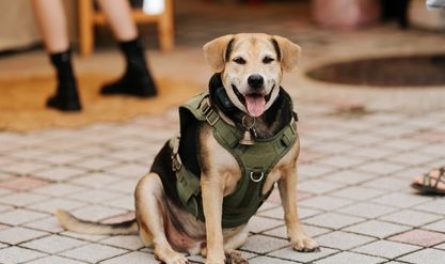 368381949_620417103545340_703615708362333486_n