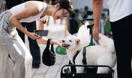 437882414_752475947006121_4763707283881717802_n