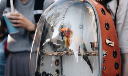 438197049_754629626790753_8929802028242874711_n