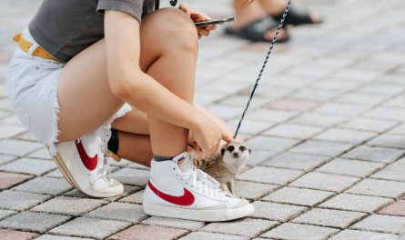 456539366_828077196112662_3877193637508165901_n