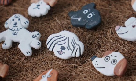 462241635_884082303845484_6745185680982748785_n