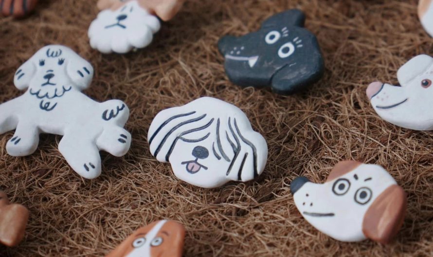 462241635_884082303845484_6745185680982748785_n