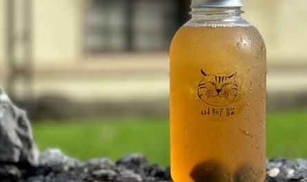 463207571_865323205721394_4043249522814230714_n