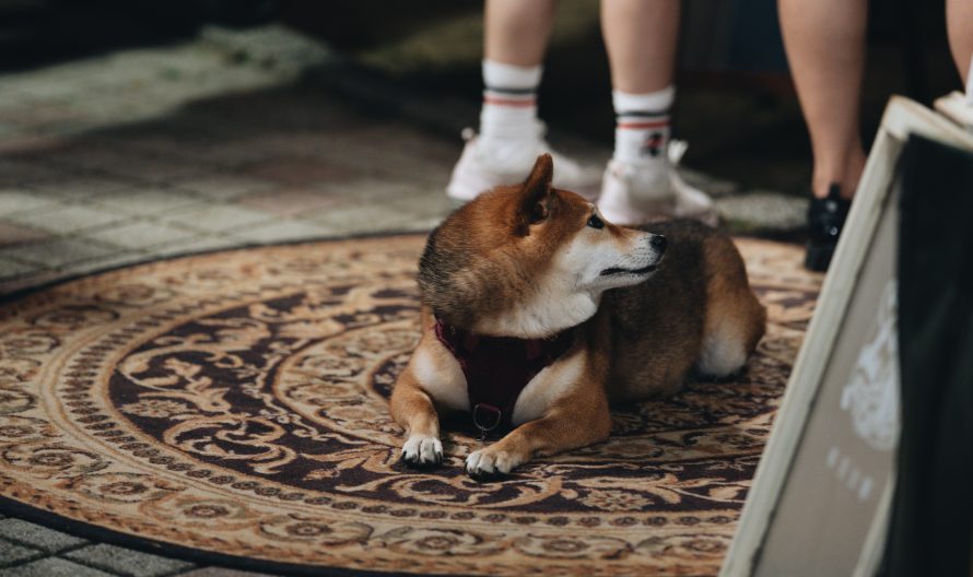 464103468_870021458584902_1010015630450456212_n