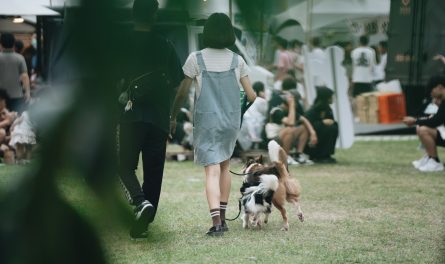 464153613_870022488584799_2281185918732033091_n