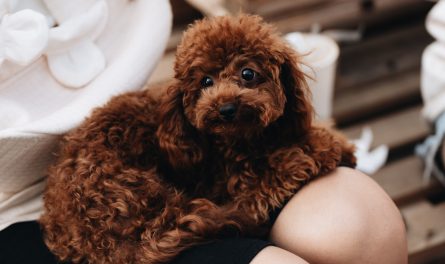 464175735_868950472025334_8336564415269183486_n