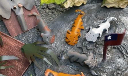 466148648_884677033786011_2575631526690933327_n