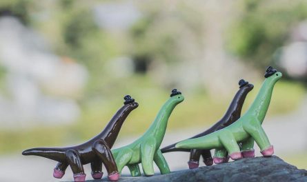 466405939_884679673785747_6532756329058079352_n