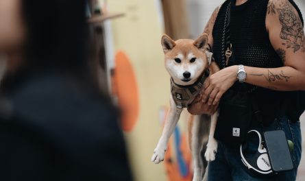 468553550_895829456004102_5511986519011117792_n