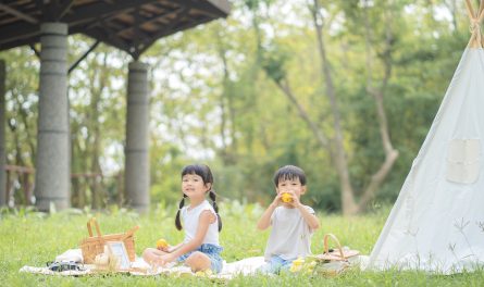 480996929_1201633838632038_7705678339768041992_n