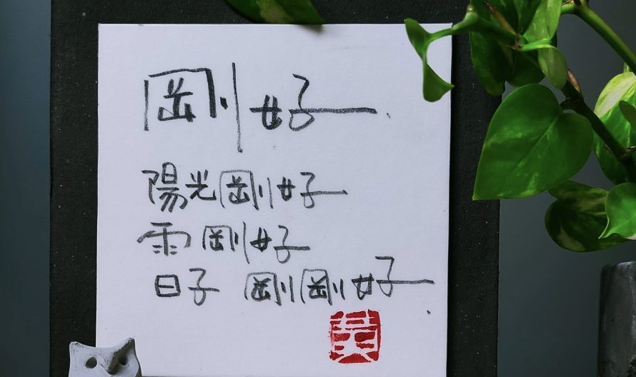 486453384_1237525455047868_3070543625692205583_n