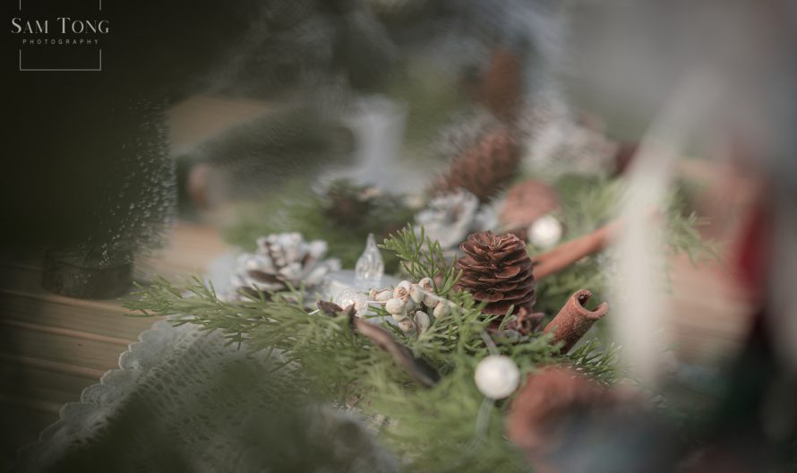 490335169_1245829220879166_560856980833207872_n