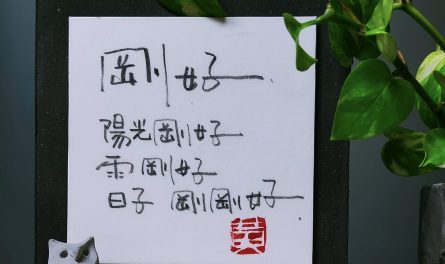 494803587_1278140087653071_8463538444164069916_n