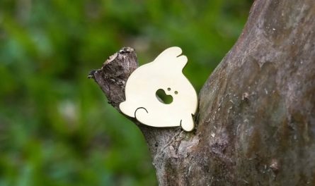 503590220_17868244788400847_4709577969965926828_n