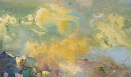 50558674_2101442776582665_8482460186538147840_n