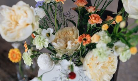 516444770_122136739772745888_7943567121291897129_n