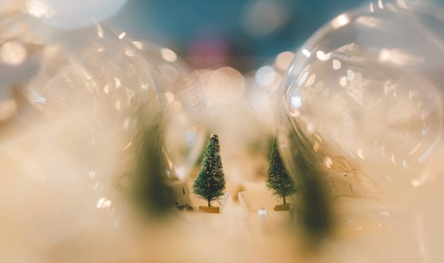 603833832_1285535873595123_5758317292763363779_n