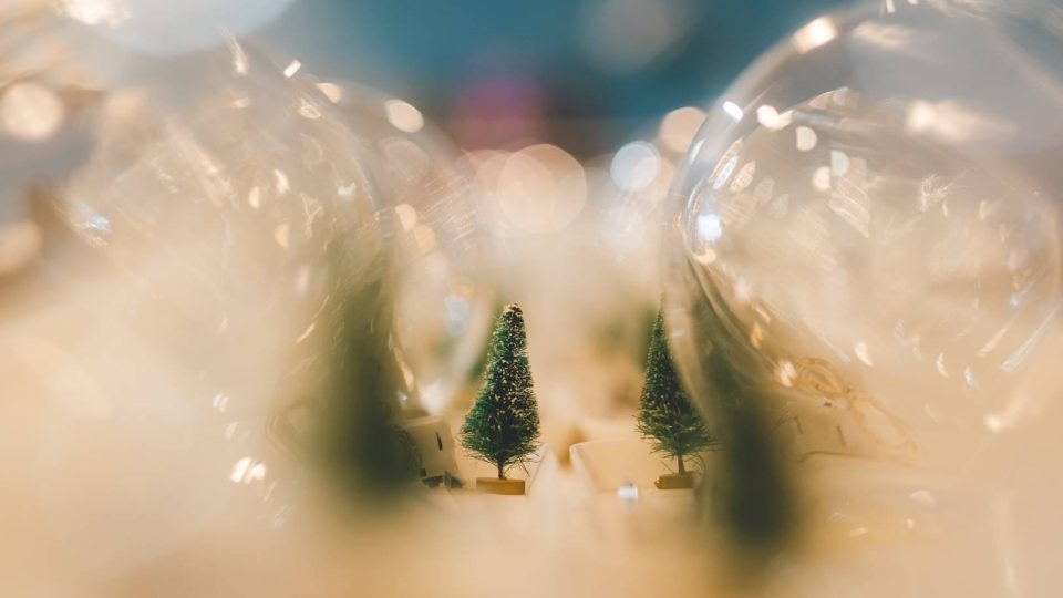 603833832_1285535873595123_5758317292763363779_n