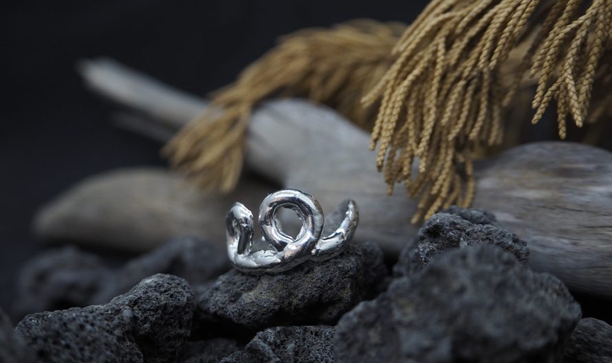 C561A952-5582-4742-A030-462802F1405A