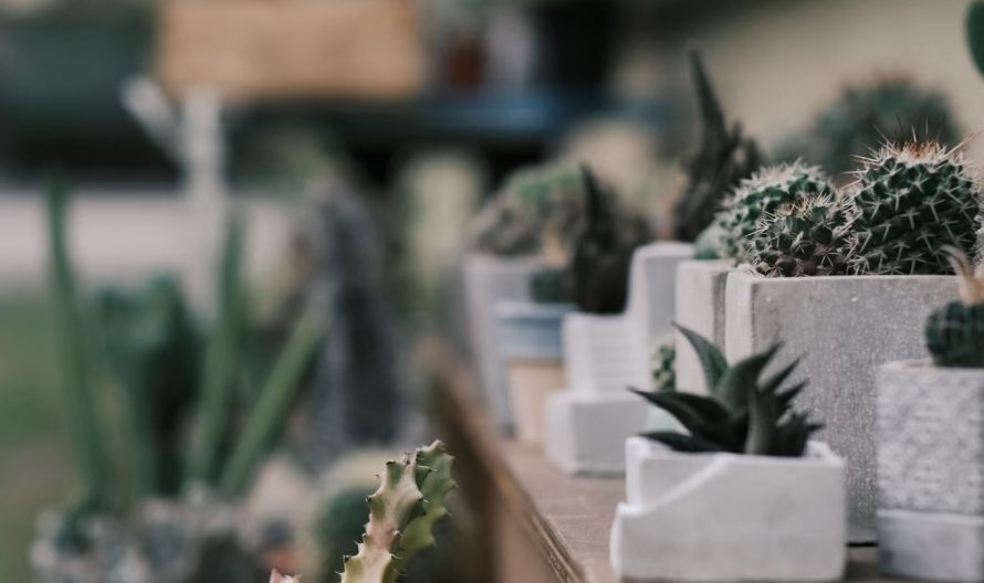 LINE_ALBUM_2022新春嘉酒市集_241028_1