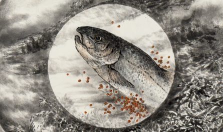 S__102424637_0