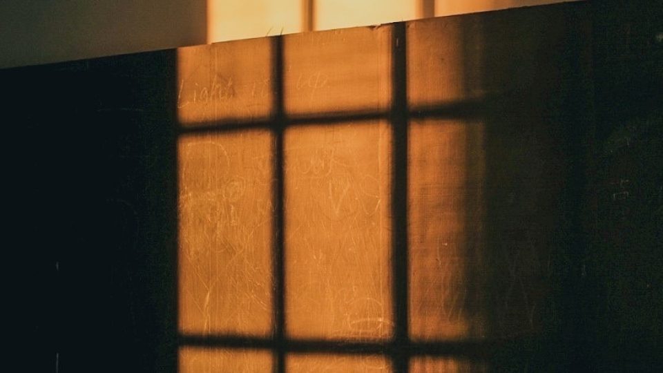 S__61333713